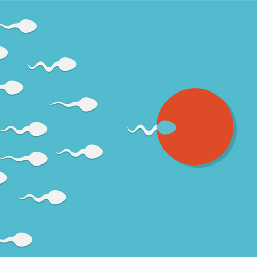 From nutrition to nappies - the truth about diet and fertility