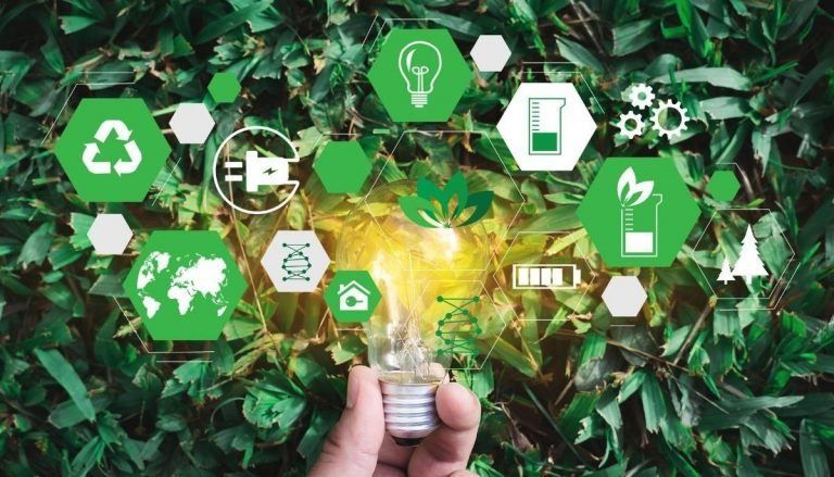 In search of sustainability: how brands are developing successful strategies