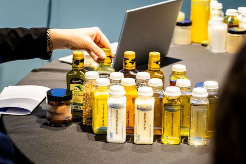 Plant-based oils: the future of sustainable food?