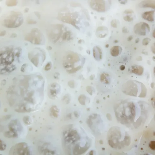 Precision fermentation and animal-free dairy