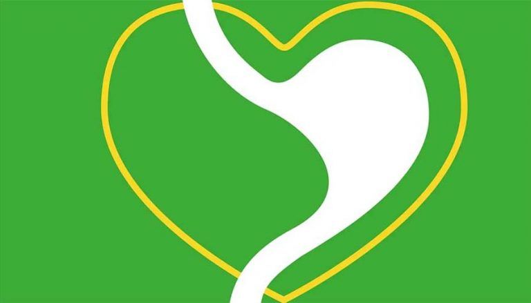 Setting the facts straight about fibre, prebiotics and gut health, part two