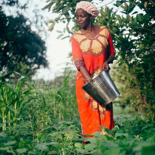 Spotlight: World Hunger Day