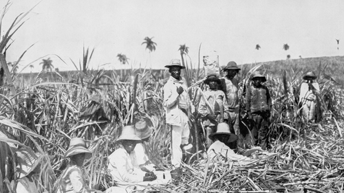 The dark history of sugar