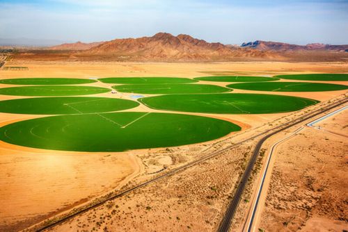 Transforming the desert into fertile land