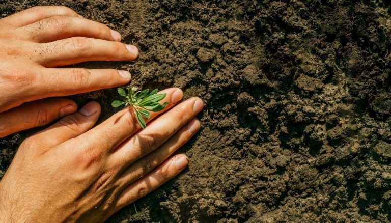 Why we need to talk about soil degradation