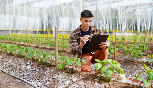 Sustainable food production - how the industry is making progress