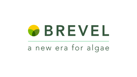 Brevel
