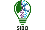Sibo.png