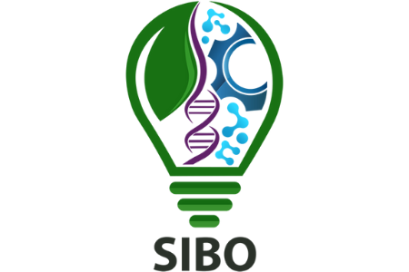 Sibo.png