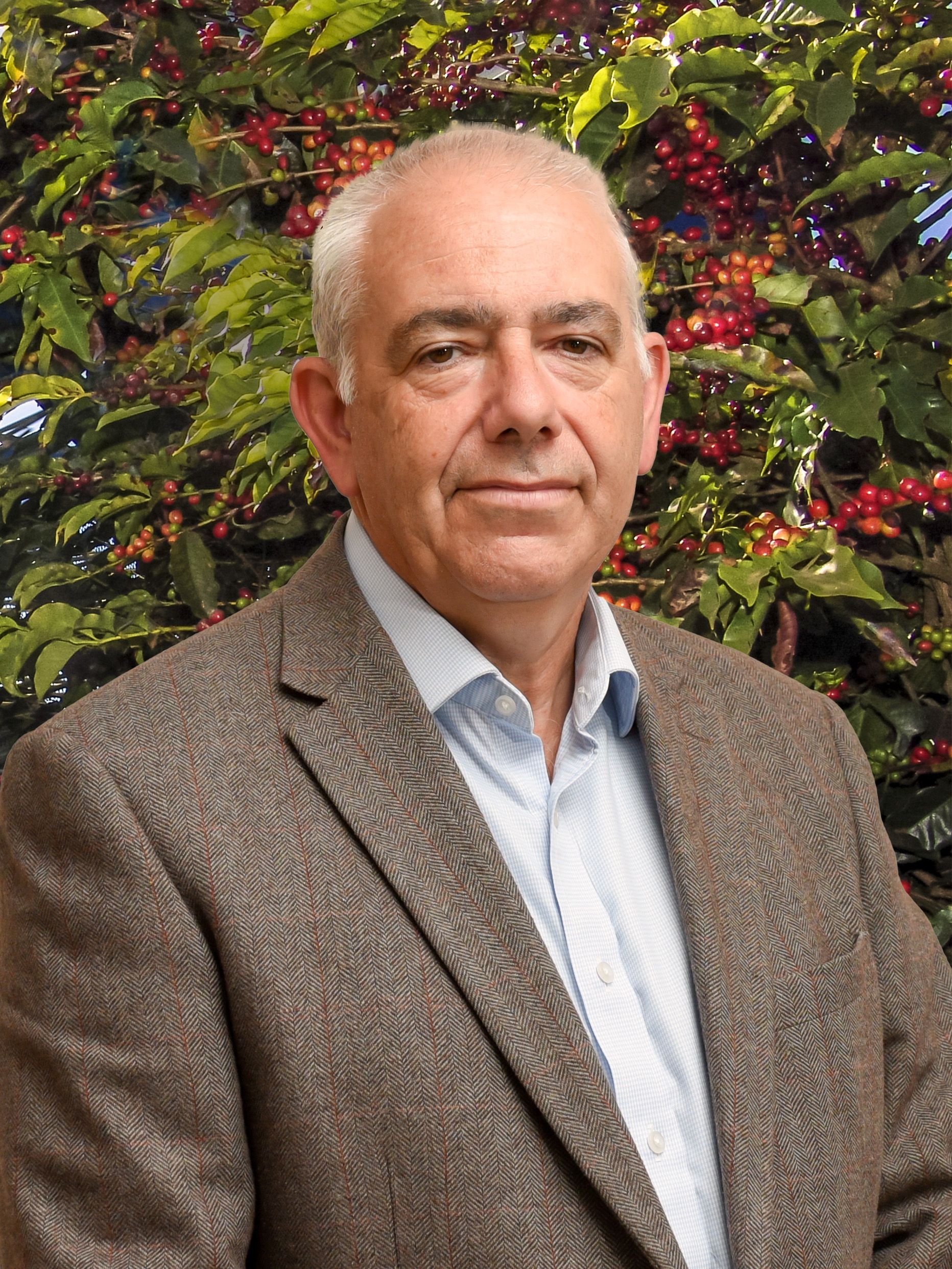 Paul Rooke