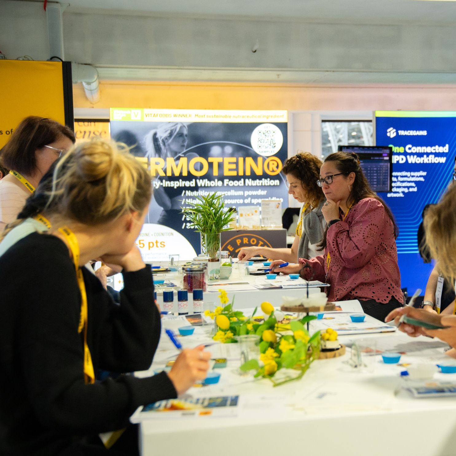 Sensory Lab Showcases