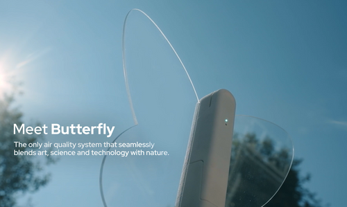 Butterfly branding video