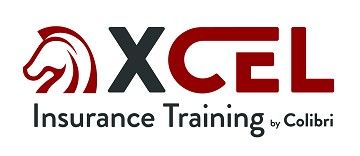 XCEL Solutions