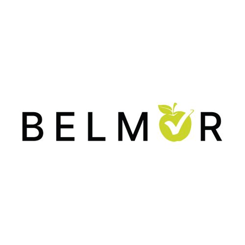 Belmor Solutions Ltd