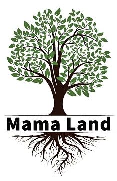 Mama Land Foods Private Europe BV