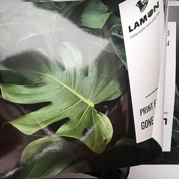 The era of bioplastics in print and packaging