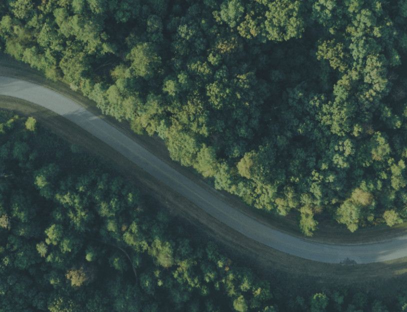 Trail through a forest