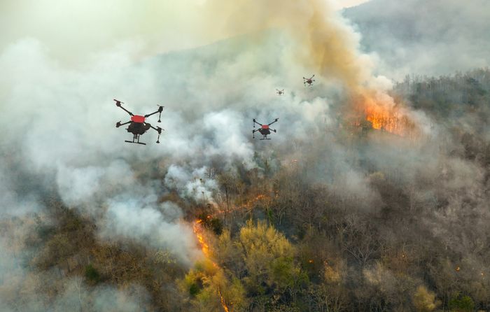 Fighting Fire with Innovation: How Technology is Shaping Wildfire Resilience