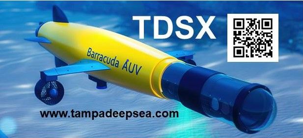 Barracuda AUV