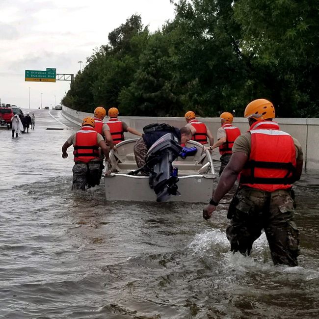 From Chaos to Coordination: How Local Command Makes a Difference