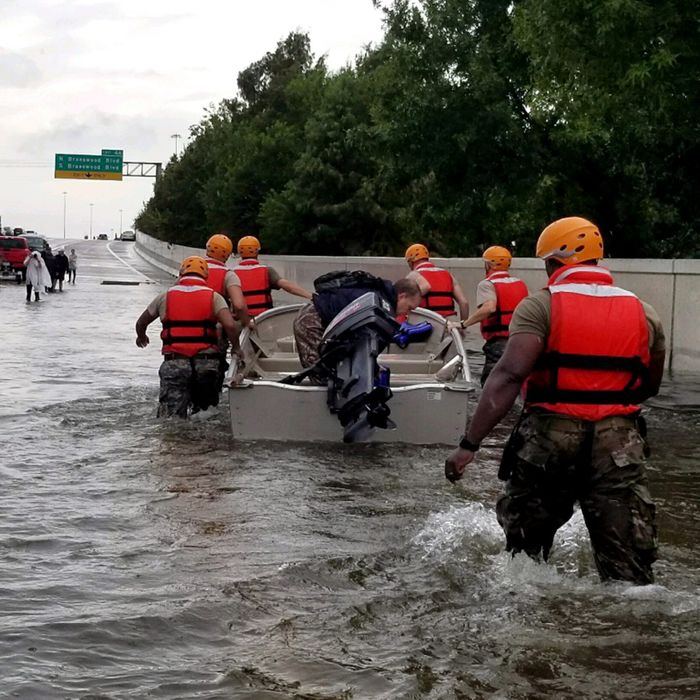 From Chaos to Coordination: How Local Command Makes a Difference