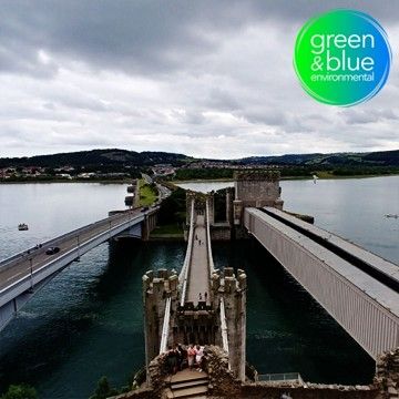 Green Transport Still Needs Grey Roads