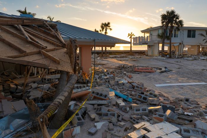 Disaster Recovery Services Florida: Essential Guide 2026