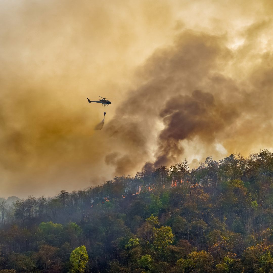 Helicopter Dropping Water onto a wildfire