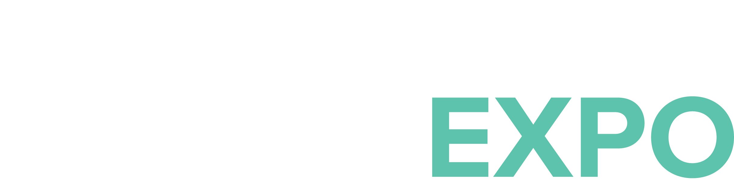 resilient city expo light