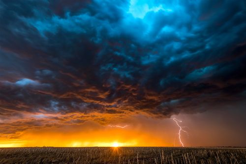 Navigating New Mexico's Recent Extreme Weather and Environmental Future