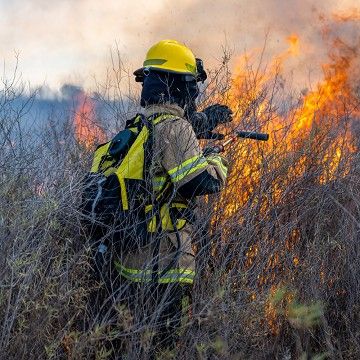The Causes of Wildfires: Exploring Prevention, Detection, and Mitigation in Vulnerable Landscapes