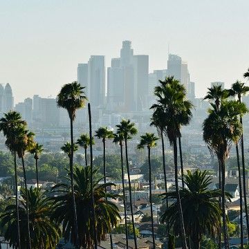 Explaining the Disaster Service Worker Program: Leveraging California Public Employees