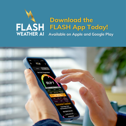 Flash App