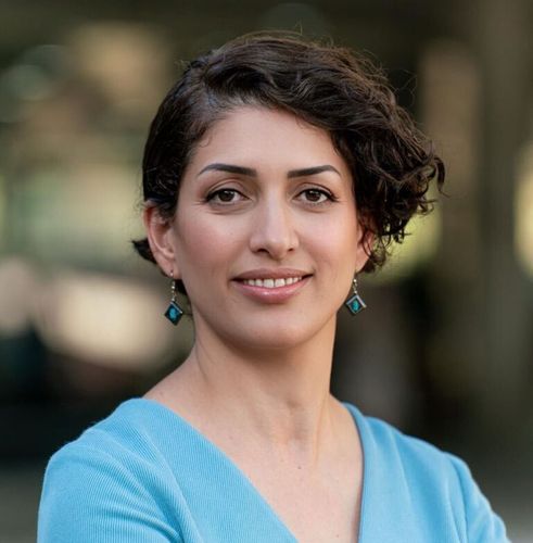 Saharnaz Mirzazad - ICLEI—Local Governments for Sustainability USA (ICLEI USA)