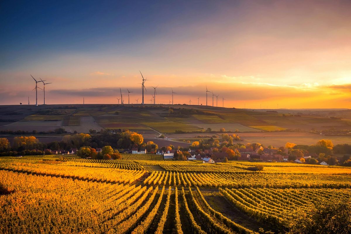 How to enable sustainability in your business