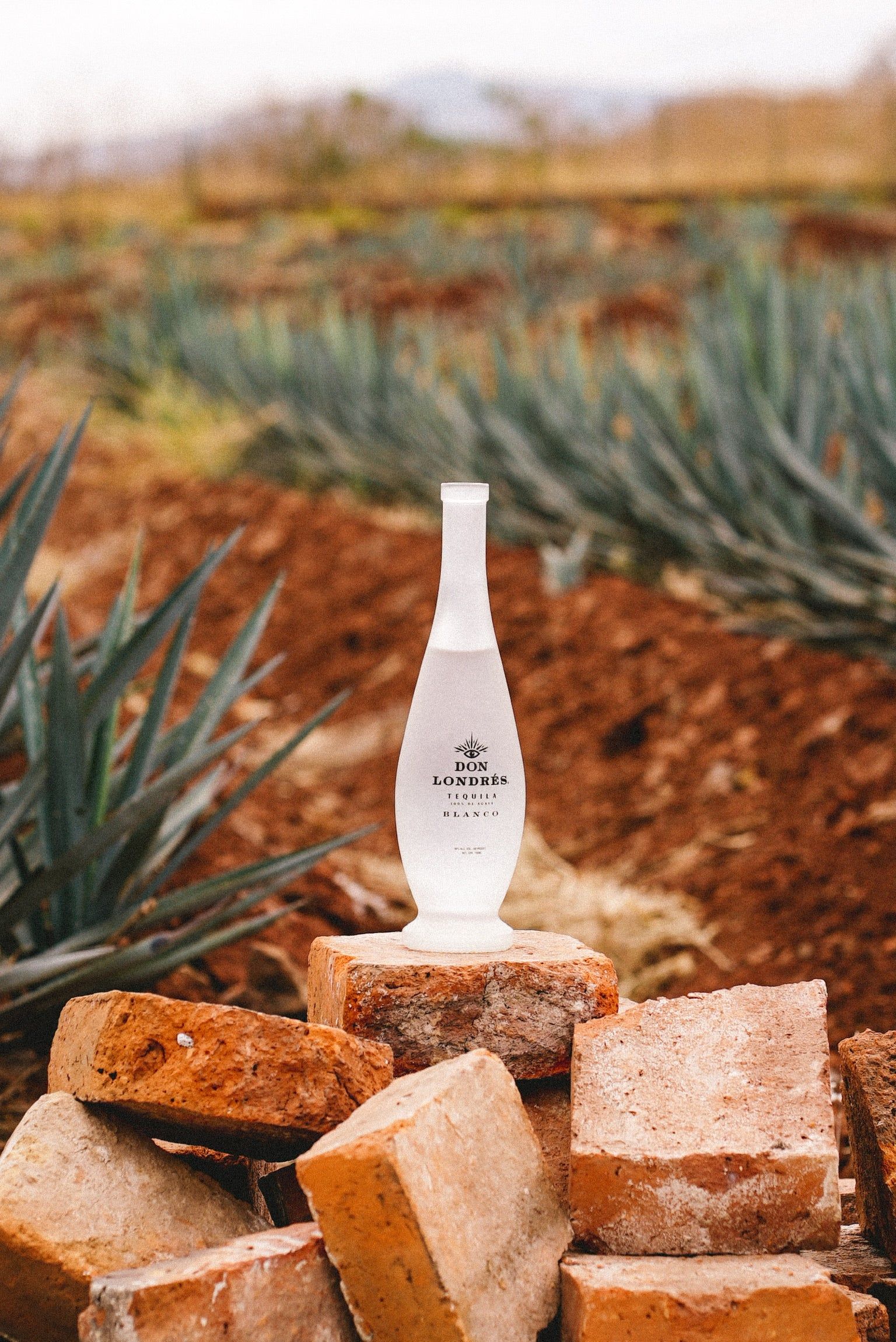 Don Londres: The Tequila Redefining Modern Luxury