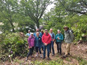 Sustain: a nature based retreat for sustainability professionals