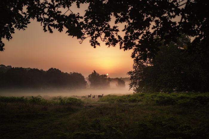 Firestarter: A retreat for business owners and entrepreneurs.