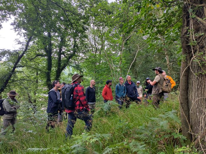 Polaris: Where great ideas orginate and teams collaborate