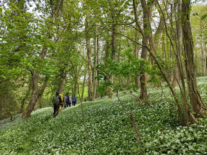 ReGen Retreat: Bring remote teams together and connected teams closer.