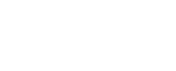 Business Fest Logo