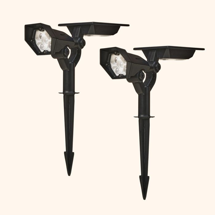 Solar Garden Lights