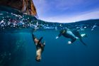 From Machu Picchu to the Galápagos Islands | 12 days