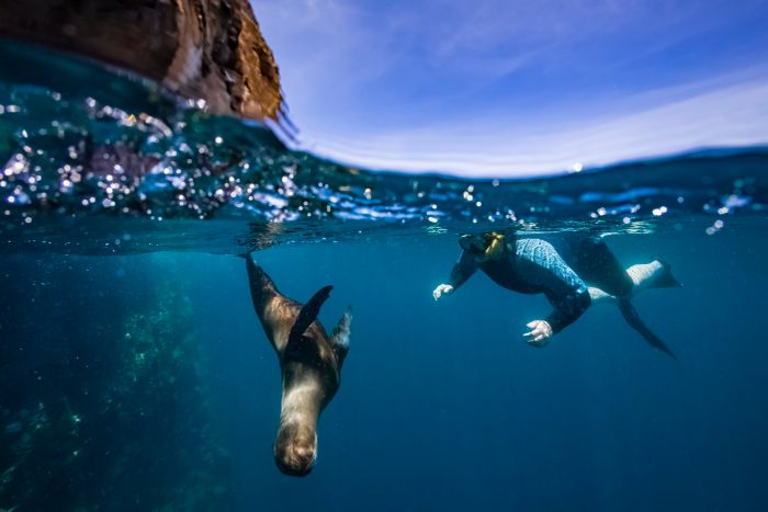 From Machu Picchu to the Galápagos Islands | 12 days