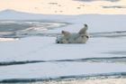 Circumnavigating Svalbard - The Ultimate Expedition | 12 days