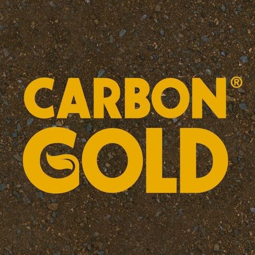 Carbon Gold 