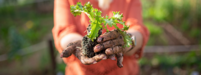 1. Organic gardening is key