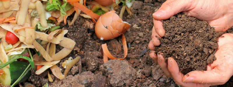 3. Compost your cuttings