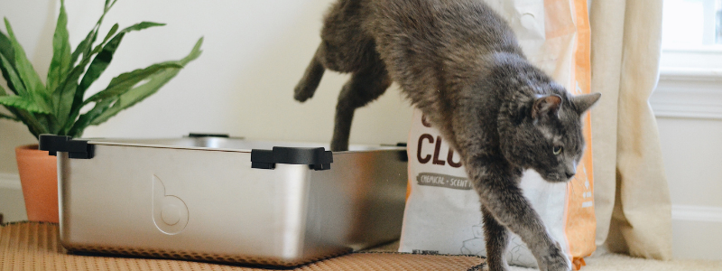 1. Manage pet waste responsibly