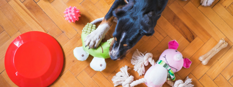 3. Donate unloved toys